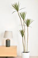 ユニエクセラン舞の里 2号地 イメージカット